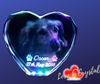 Pets in Crystal